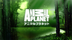 animal planet endpage