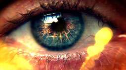 eyes